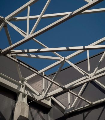 pexels-cottonbro-10329046