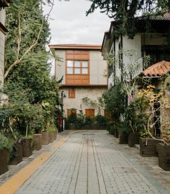 pexels-julia-volk-6397625