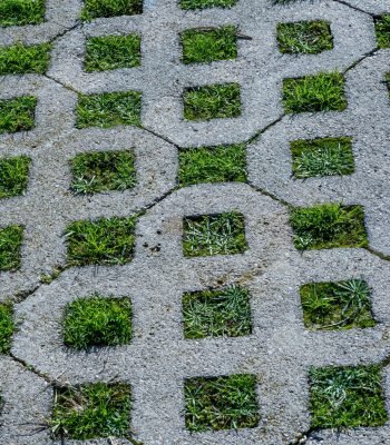 pexels-victormoragriega-29738131